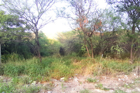 Lotes Terrenos en Venta Antiguo Camino a Villa de Santiago, El Uro, Carretera Nacional, Monterrey.