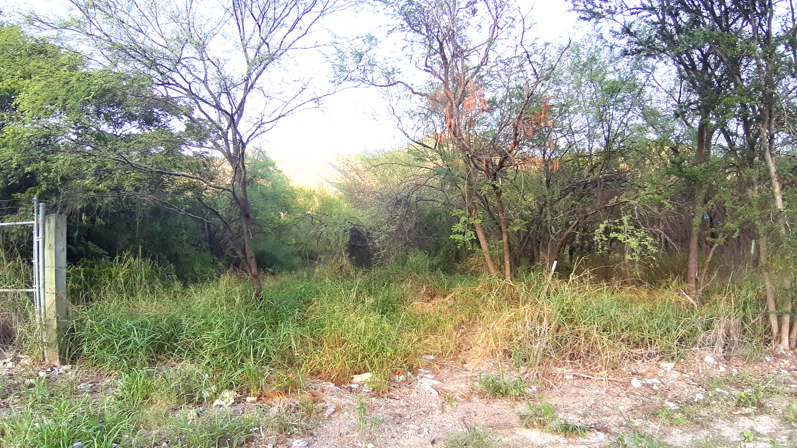 Lotes Terrenos en Venta Antiguo Camino a Villa de Santiago, El Uro, Carretera Nacional, Monterrey.